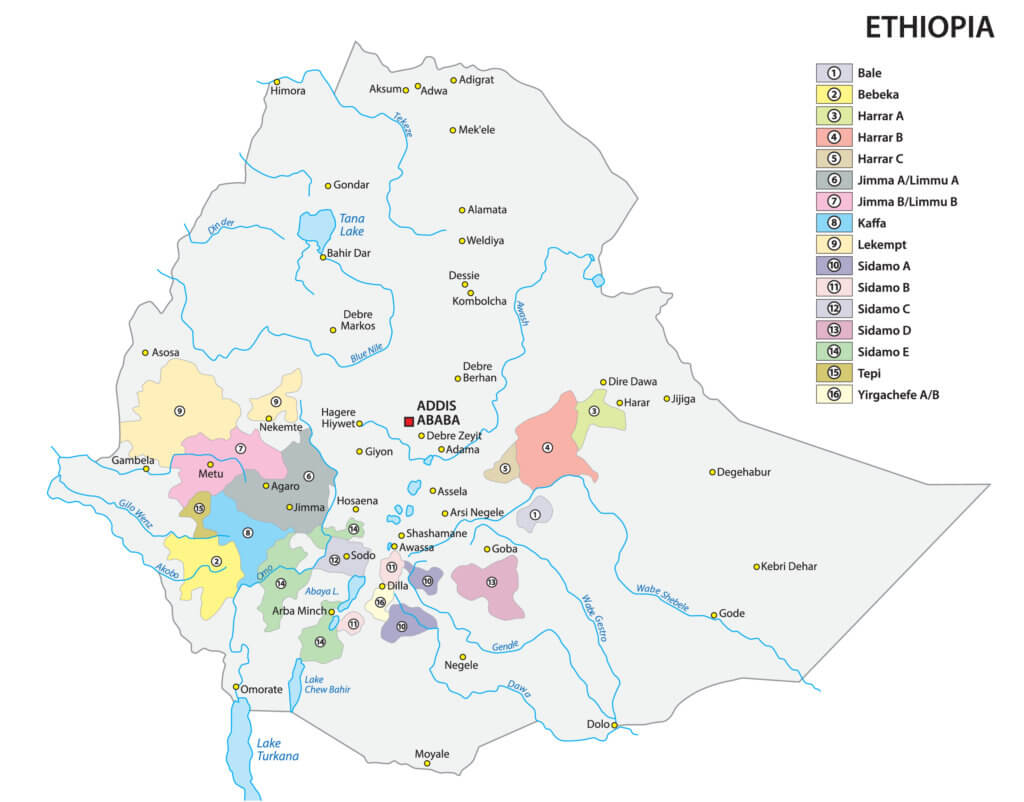 ethiopia coffee region